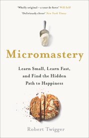 Micromastery: The Hidden Path to Success
