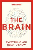 The Brain